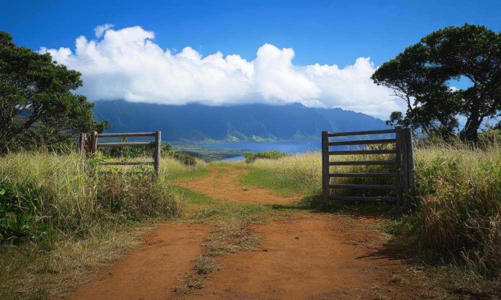 An open gate on a dirt road looking out to the sea