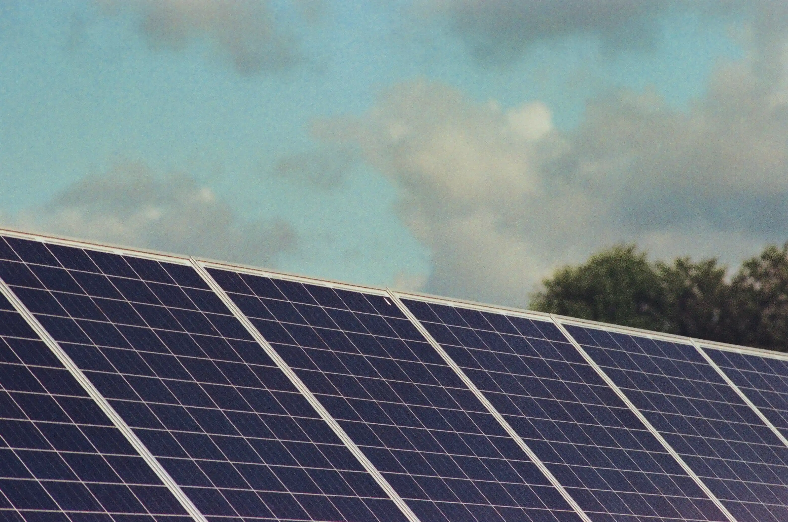 A row of solar panels tilted to a bright sky, treeline beyond