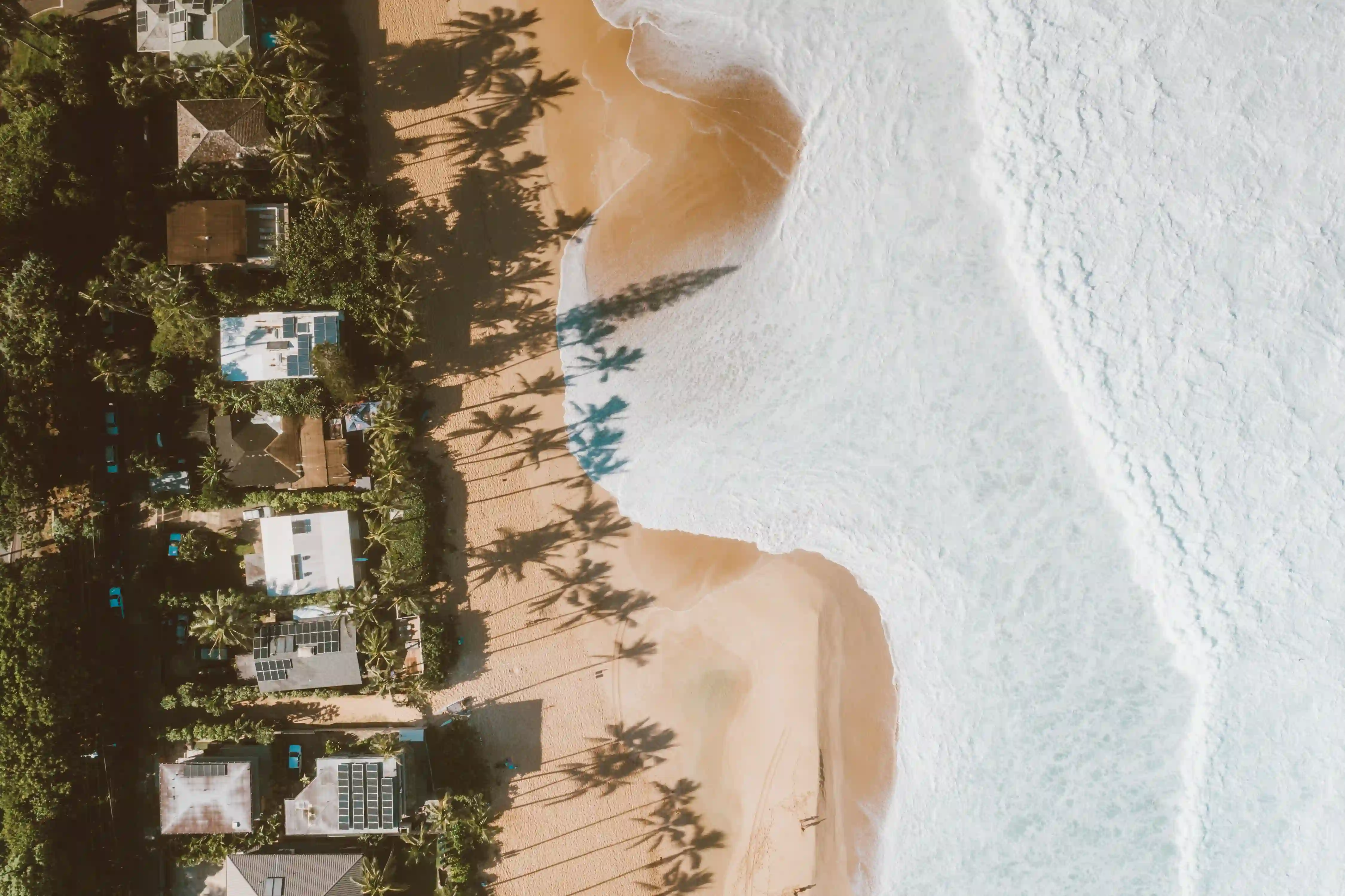 Rooftop solar on beachfront homes, seen straight down with the surf running up the sand