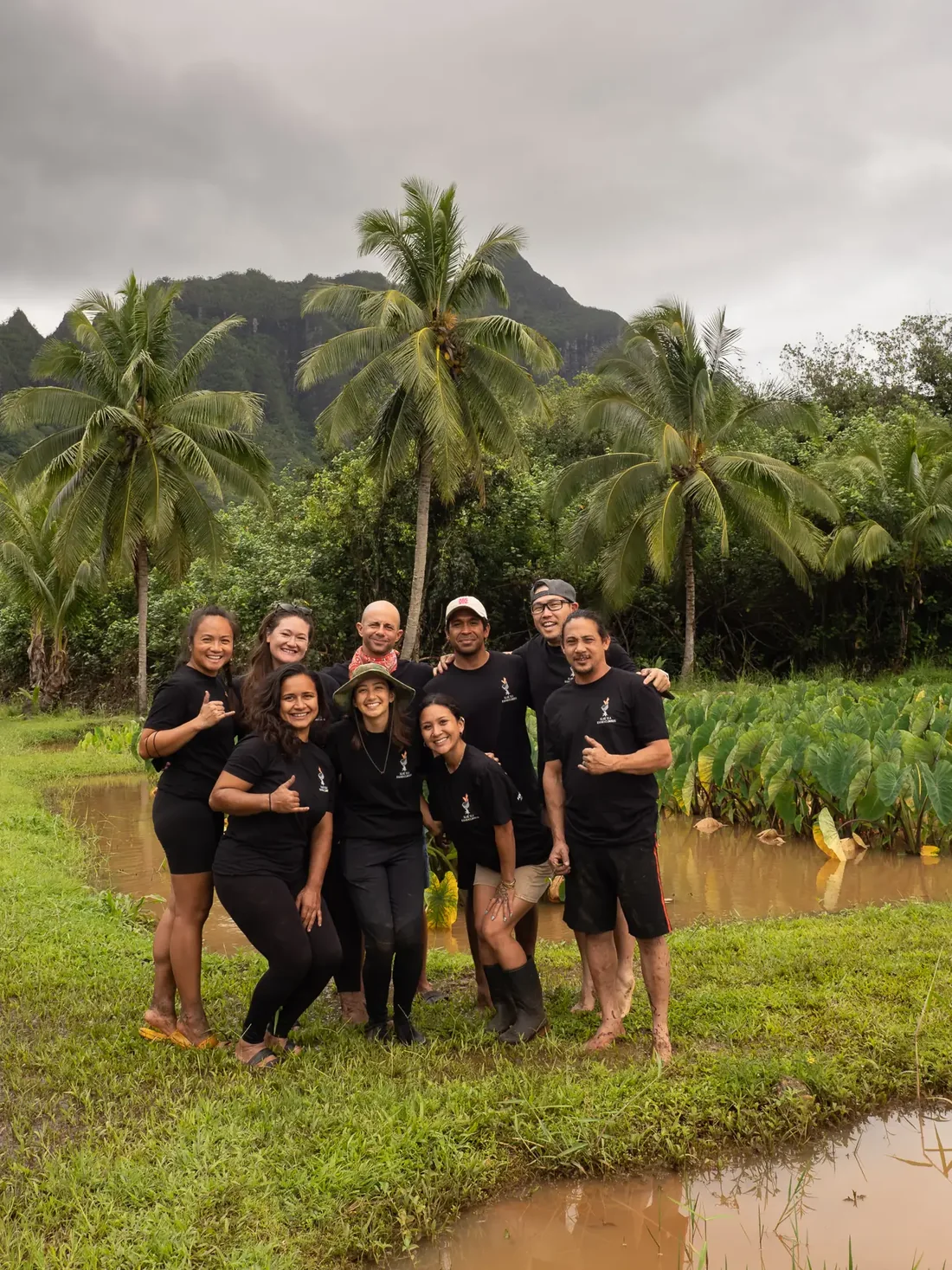 The Sunfish team standing together beside a loʻi, the Koʻolau behind them